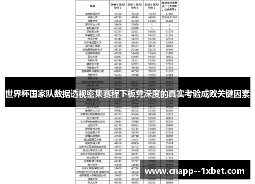 世界杯国家队数据透视密集赛程下板凳深度的真实考验成败关键因素