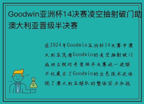 Goodwin亚洲杯14决赛凌空抽射破门助澳大利亚晋级半决赛 Goodwin亚洲杯14决赛凌空抽射破门助澳大利亚晋级半决赛